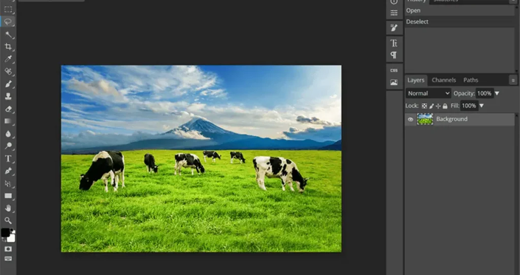 تحميل برنامج Photopea